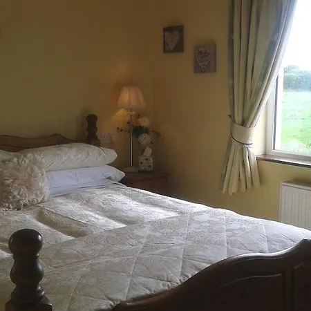 Tudor * 塔拉莫尔