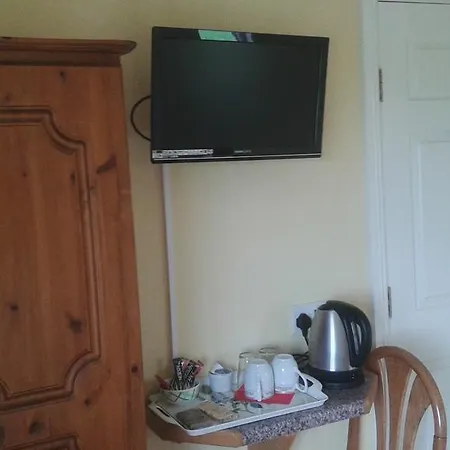 住宿加早餐酒店 Tudor